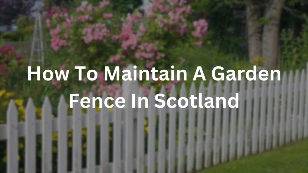 Garden Fence In Scotland