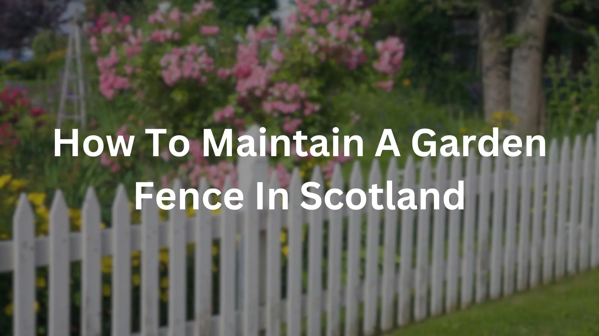 Garden Fence In Scotland